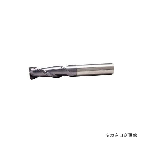 PROCHI PRC-T10M2R1 2枚刃超硬ラジアスEM 10XR1.0