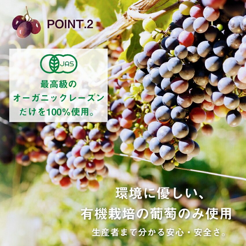 ななつのしあわせドライフルーツ7種のレーズンミックス250g送料無料有機オーガニック原料100%で仕上げた7種類の贅沢レーズンミックス着色料・香料・添加物不使用ななつのドライフルーツミックスドライフルーツミックス無添加レーズン