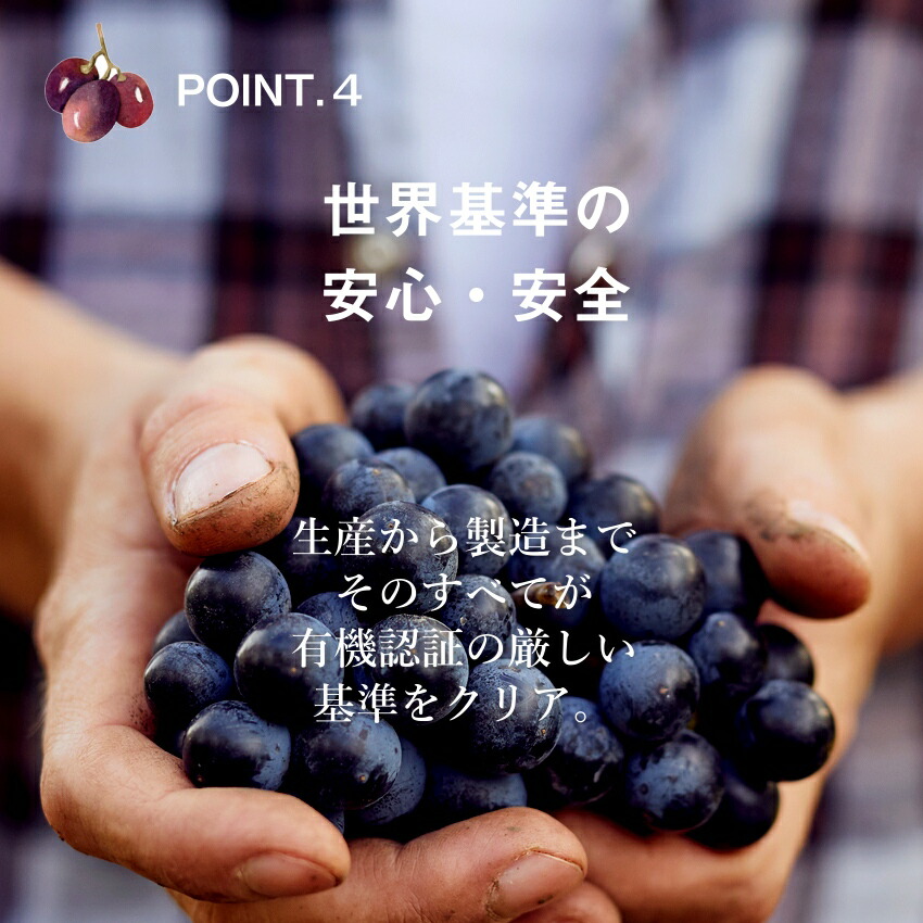 ななつのしあわせドライフルーツ7種のレーズンミックス250g送料無料有機オーガニック原料100%で仕上げた7種類の贅沢レーズンミックス着色料・香料・添加物不使用ななつのドライフルーツミックスドライフルーツミックス無添加レーズン