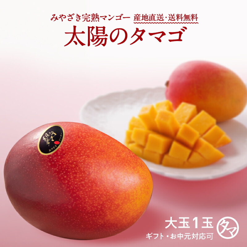 2025 宮崎完熟マンゴー 秀品-極上玉（赤秀）特大サイズ×1玉 宮崎