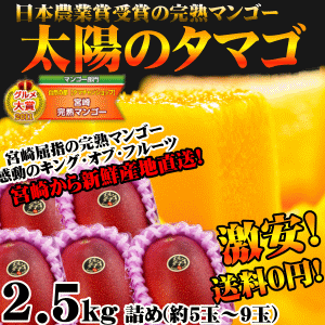 【送料無料】太陽のタマゴ(2.5ｋｇ詰め)<br>最高級フルーツ宮崎の厳しい基準を乗り越えた『香り・色艶・糖度』全てが最高のプレミアム宮崎完熟マンゴー<br>【宮崎マンゴー】【太陽のタマゴ】【ギフト対応熨斗・包装無料】【お中元ギフト】 プレゼント