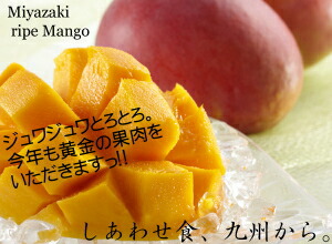店長オススメ!マンゴーのゴージャスパフェ♪美味しい〜