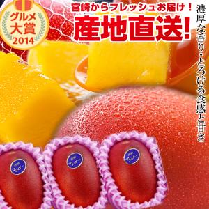 楽天市場】【送料無料】宮崎完熟マンゴー中玉2玉入り宮崎からお