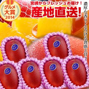 【送料無料】宮崎完熟マンゴー中玉６玉入り<br><br>宮崎からお届けする南国の香り・とろける美味しさ<br>がいっぱいの完熟マンゴー地元宮崎だからこそできる<br>鮮度＆激安でお届け致します<br>【宮崎マンゴー】【お中元 青果物 フルーツギフト】 プレゼント 母の日