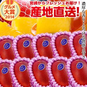【送料無料】宮崎完熟マンゴー中玉10玉入り<br><br>宮崎からお届けする南国の香り・とろける美味しさ<br>がいっぱいの完熟マンゴー地元宮崎だからこそできる<br>鮮度＆激安でお届け致します<br>【宮崎マンゴー】【お中元 青果物 フルーツギフト】 プレゼント 母の日