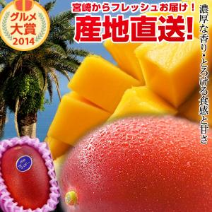 【送料無料】宮崎完熟マンゴー大玉１玉<br>宮崎からお届けする南国の香り・とろける美味しさがいっぱいの完熟マンゴー地元宮崎だからこそできる鮮度＆激安でお届け致します<br>【宮崎マンゴー】【青果物 フルーツギフト】 プレゼント 母の日ギフト