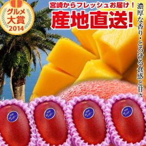 【送料無料】宮崎完熟マンゴー大玉4玉<br>宮崎からお届けする南国の香り・とろける美味しさがいっぱいの完熟マンゴー地元宮崎だからこそできる鮮度＆激安でお届け致します<br>【宮崎マンゴー】【お中元 青果物 フルーツギフト】 プレゼント 母の日