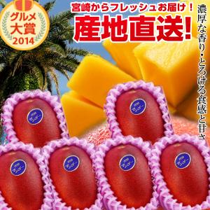 【送料無料】宮崎完熟マンゴー大玉6玉<br>宮崎からお届けする南国の香り・とろける美味しさがいっぱいの完熟マンゴー地元宮崎だからこそできる鮮度＆激安でお届け致します<br>【宮崎マンゴー】【お中元 青果物 フルーツギフト】 プレゼント 母の日