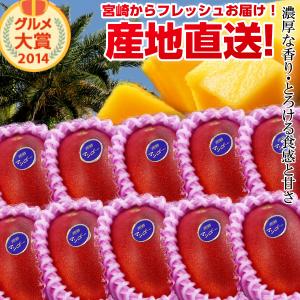 楽天市場】【送料無料】宮崎完熟マンゴー大玉6玉宮崎からお届けする 