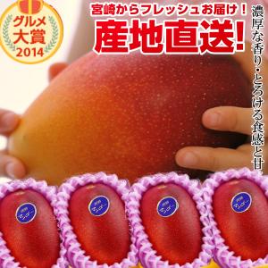 【送料無料】特大宮崎完熟マンゴー4玉 特大玉<br>宮崎からお届けする南国の香り・とろける美味しさがいっぱいの完熟マンゴー地元宮崎だからこそできる鮮度＆激安でお届け致します<br>【宮崎マンゴー】【お中元 青果物 フルーツギフト】 プレゼント 母の日