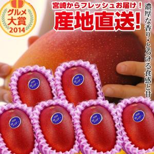 【送料無料】特大宮崎完熟マンゴー6玉 特大玉<br>宮崎からお届けする南国の香り・とろける美味しさがいっぱいの完熟マンゴー地元宮崎だからこそできる鮮度＆激安でお届け致します<br>【宮崎マンゴー】【お中元 青果物 フルーツギフト】 プレゼント