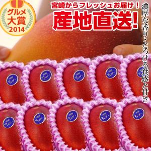 【送料無料】特大宮崎完熟マンゴー10玉 特大玉<br>宮崎からお届けする南国の香り・とろける美味しさがいっぱいの完熟マンゴー地元宮崎だからこそできる鮮度＆激安でお届け致します<br>【宮崎マンゴー】【お中元 青果物 フルーツギフト】 プレゼント