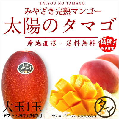 【送料無料】太陽のタマゴ(大玉２L・1玉)<br>最高級フルーツ宮崎の厳しい基準を乗り越えた『香り・色艶・糖度』全てがプレミアムの宮崎完熟マンゴー<br>宮崎マンゴー アップルマンゴー 高級 フルーツ 果物 お中元 ギフト お取り寄せグルメ 母の日