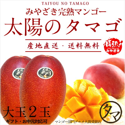 【送料無料】太陽のタマゴ(大玉２L・２玉)<br>最高級フルーツ宮崎の厳しい基準を乗り越えた『香り・色艶・糖度』全てがプレミアムの宮崎完熟マンゴー<br>【宮崎マンゴー】【太陽のタマゴ】【アップルマンゴー】【専用箱付・お中元・ギフト】 プレゼント 母の日