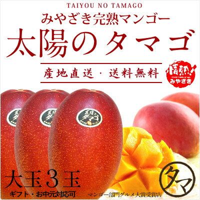 在庫あり 即納 太陽のタマゴ 大玉２l ３玉 最高級フルーツ宮崎の厳しい基準を乗り越えた 香り 色艶 糖度 全てがプレミアムの宮崎完熟マンゴー 宮崎 マンゴー 太陽のタマゴ アップルマンゴー お中元 ギフト 母の日 父の日 プレゼント 流行に Www Dialab Rs