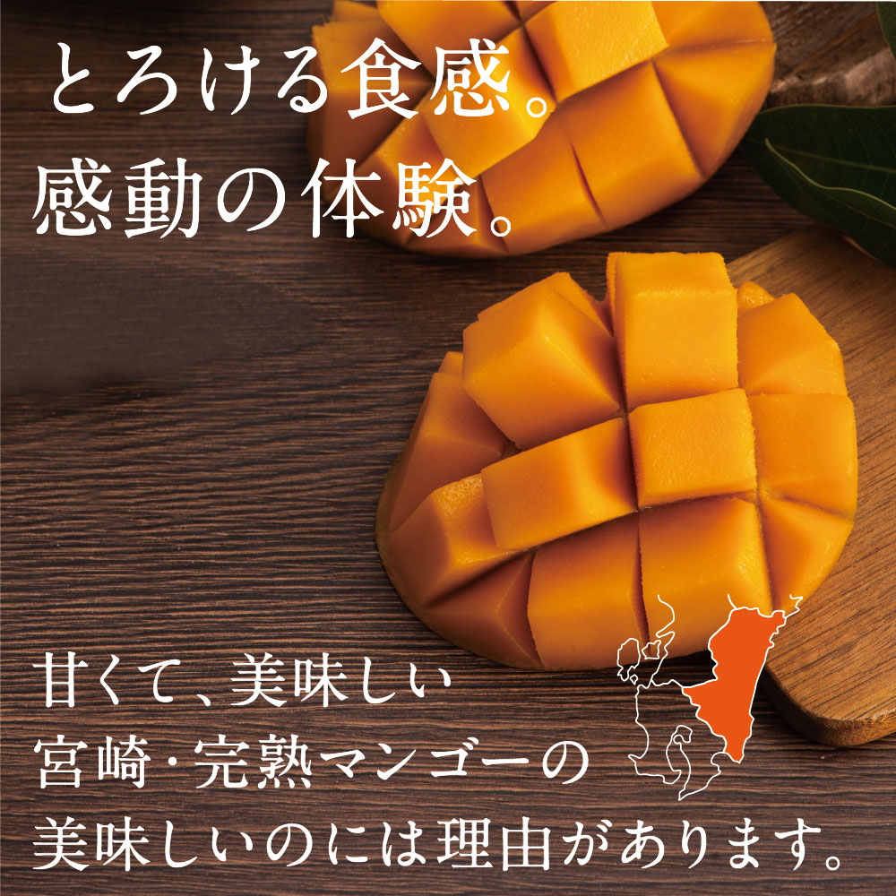【送料無料】太陽のタマゴ(大玉2L・1玉)最高級フルーツ宮崎の厳しい基準を乗り越えた『香り・色艶・糖度』全てがプレミアムの宮崎完熟マンゴー宮崎マンゴー太陽のたまごアップルマンゴー高級フルーツ果物お中元ギフトお取り寄せグルメ