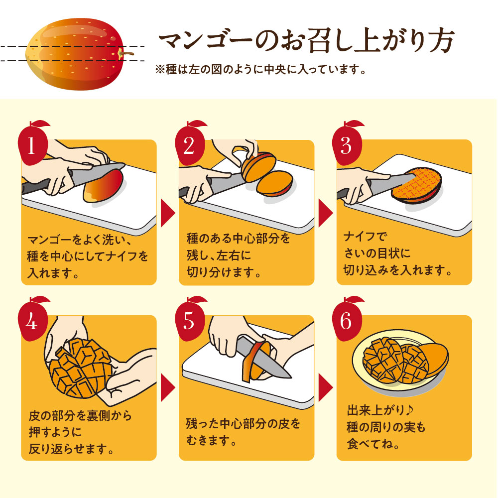【送料無料】太陽のタマゴ(大玉2L・1玉)最高級フルーツ宮崎の厳しい基準を乗り越えた『香り・色艶・糖度』全てがプレミアムの宮崎完熟マンゴー宮崎マンゴー太陽のたまごアップルマンゴー高級フルーツ果物お中元ギフトお取り寄せグルメ