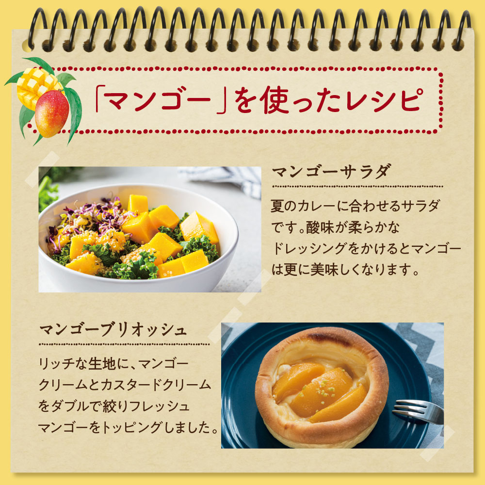 【送料無料】太陽のタマゴ(大玉2L・1玉)最高級フルーツ宮崎の厳しい基準を乗り越えた『香り・色艶・糖度』全てがプレミアムの宮崎完熟マンゴー宮崎マンゴー太陽のたまごアップルマンゴー高級フルーツ果物お中元ギフトお取り寄せグルメ