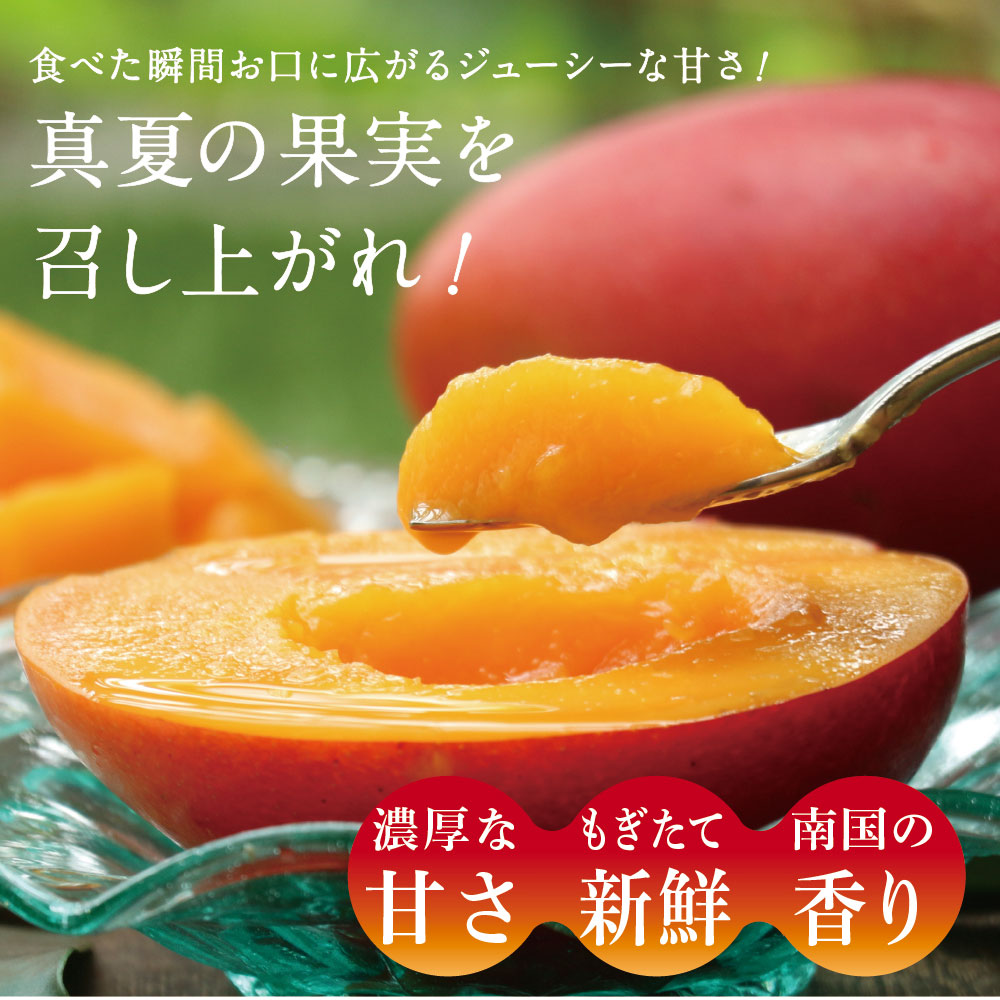 【送料無料】太陽のタマゴ(大玉2L・1玉)最高級フルーツ宮崎の厳しい基準を乗り越えた『香り・色艶・糖度』全てがプレミアムの宮崎完熟マンゴー宮崎マンゴー太陽のたまごアップルマンゴー高級フルーツ果物お中元ギフトお取り寄せグルメ