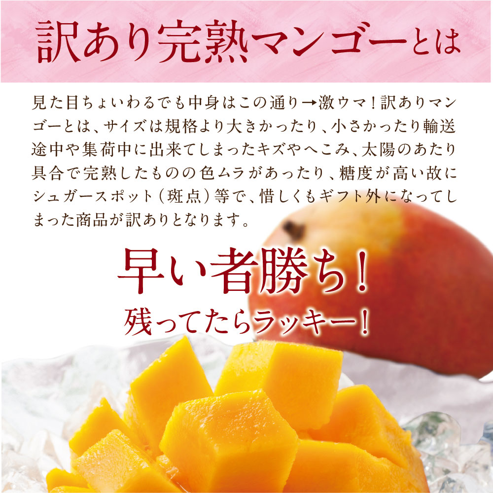 【送料無料】太陽のタマゴ(大玉2L・1玉)最高級フルーツ宮崎の厳しい基準を乗り越えた『香り・色艶・糖度』全てがプレミアムの宮崎完熟マンゴー宮崎マンゴー太陽のたまごアップルマンゴー高級フルーツ果物お中元ギフトお取り寄せグルメ