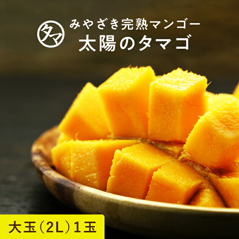【送料無料】太陽のタマゴ(大玉２L・1玉)<br>最高級フルーツ宮崎の厳しい基準を乗り越えた『香り・色艶・糖度』全てがプレミアムの宮崎完熟マンゴー<br>宮崎マンゴー 完熟マンゴー 高級 フルーツ 果物 お中元 ギフト お取り寄せグルメ