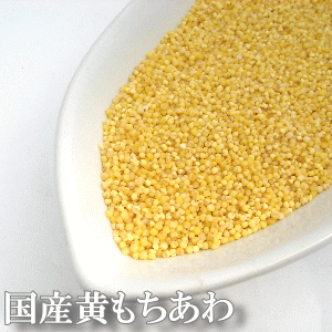 【送料無料】国産黄もちあわ5kg（250g×20袋）<br>妊婦さんにもおススメの雑穀とされる低カロリーでビタミン・ミネラル・食物繊維が豊富な穀物<br>味もあっさりしていて、食べやすい人気の雑穀です<br>【餅粟 国産 無添加 雑穀/穀物】
