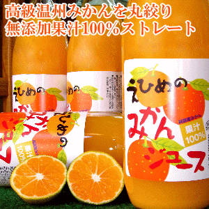 【送料無料】美味しい自然の恵みをゴクゴク！ 果汁100％愛媛の無添加みかんジュース １本に約３０個分のみかんを丸搾り♪ わずかコップ１杯で１日分のビタミンＣ 美味しいだけでなく注目の栄養がたっぷりの天然果汁飲料です！