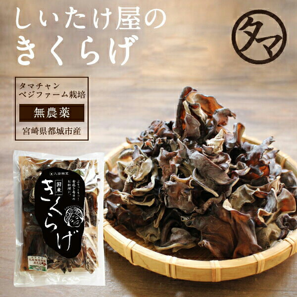 農家の生キクラゲ　2kg 完全国産無農薬！！ kikurage-thum.jpg