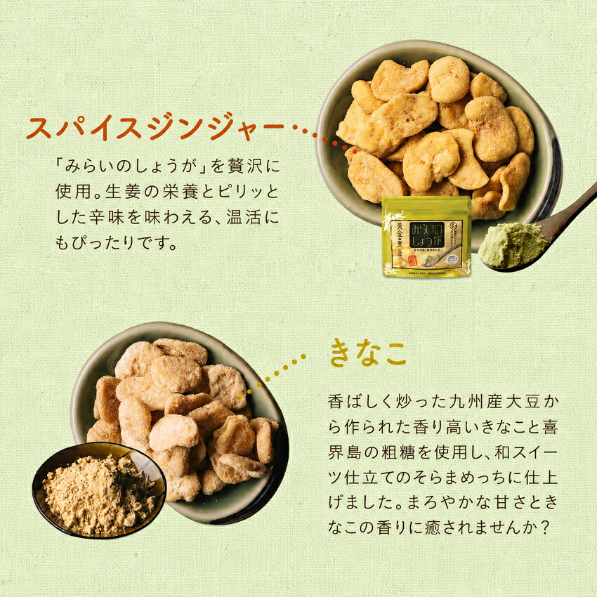 そらまめ、まとめ買いページ 選べる美味しさ！そらまめっち(そら豆チップス)1袋から送料無料植物性