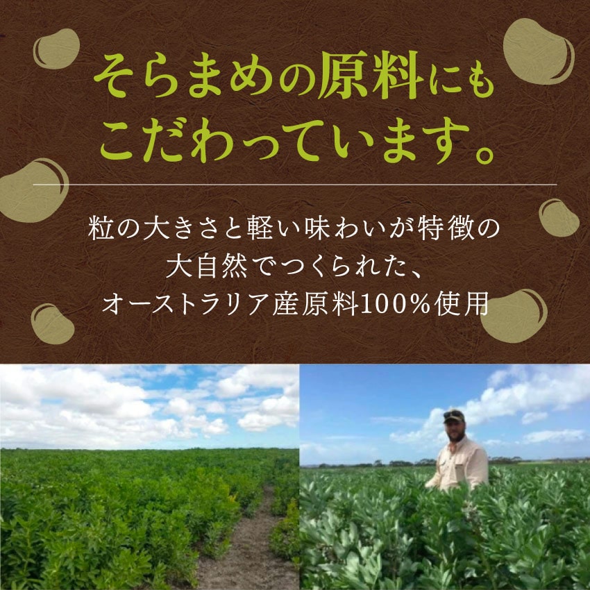 選べる美味しさ！そらまめっち(そら豆チップス)1袋から送料無料植物性