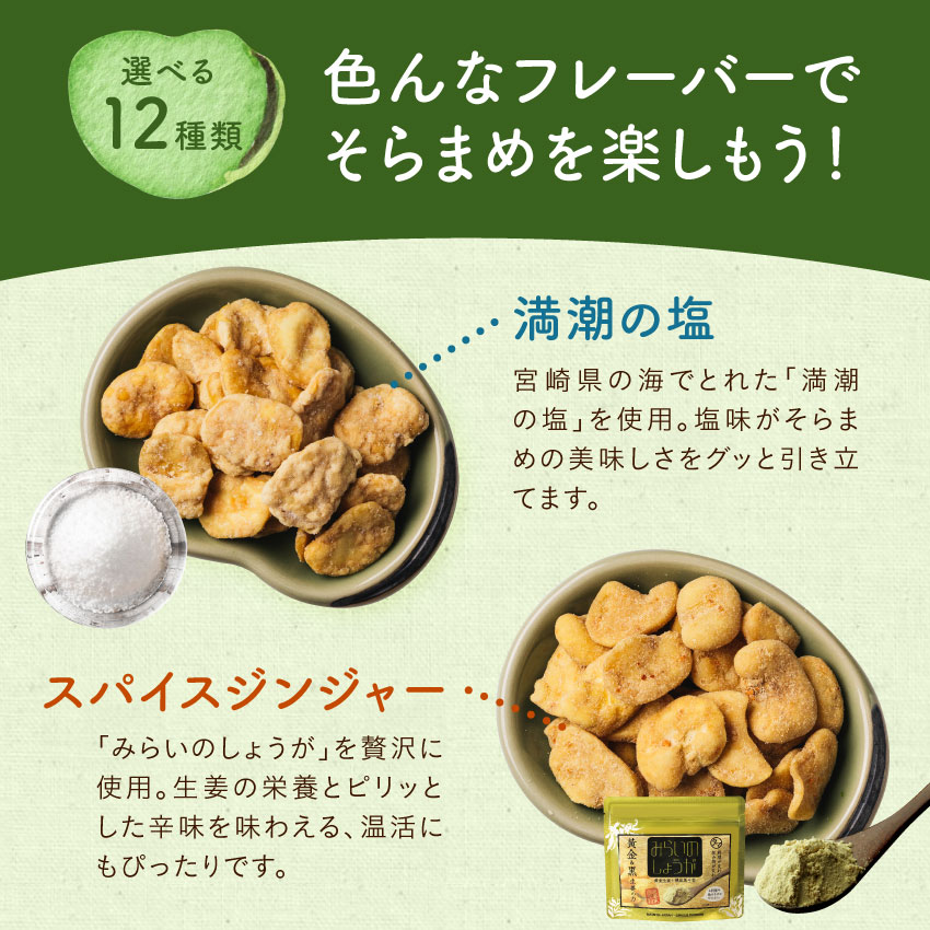 選べる美味しさ！そらまめっち(そら豆チップス)1袋から送料無料植物性