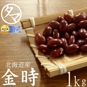白花豆 ５キロ　　令和６年/北海道北見産 楽天市場】【送料無料】北海道産 白花豆 5kg（令和6年産）楽天