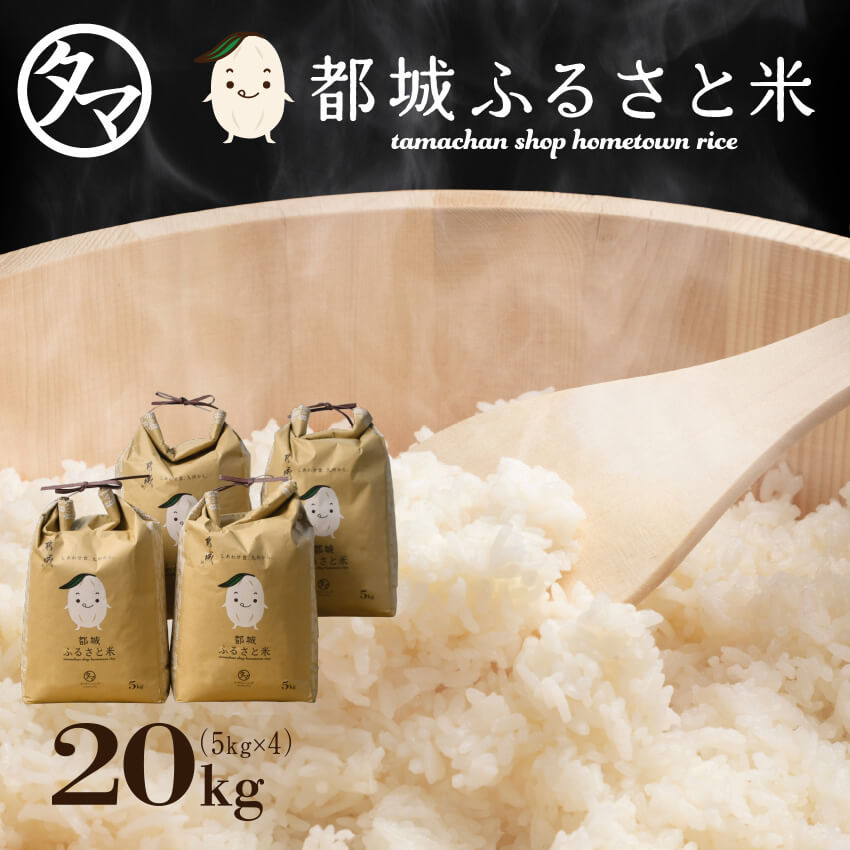 楽天市場】【2袋以上で送料無料】都城ふるさと米 5kg（無洗米）☆令和5 