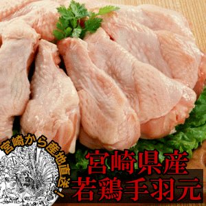 最大91%OFFクーポン 沸騰ブラドン 宮崎産若鶏手羽元-500ｇ
