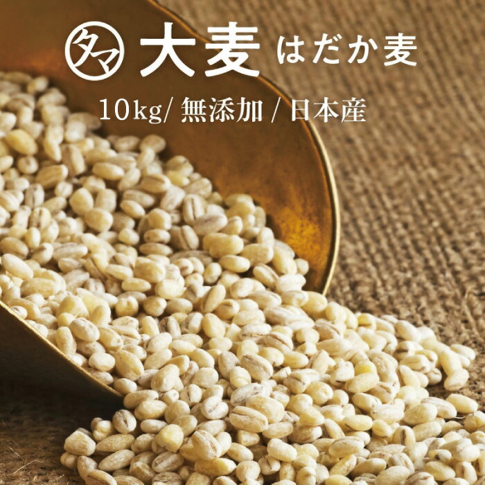 ＼話題の大麦／国産 大麦(はだか麦) 10kg（250g×40袋） 送料無料<br>白米に比べて大麦は食物繊維が約24倍<br>おおむぎ 水溶性食物繊維 カズレーザーと学ぶ テレビ TV 放送 水溶性食物繊維 新やせ菌  ブラウティア・ウェクセレラエ βグルカン 愛媛県産