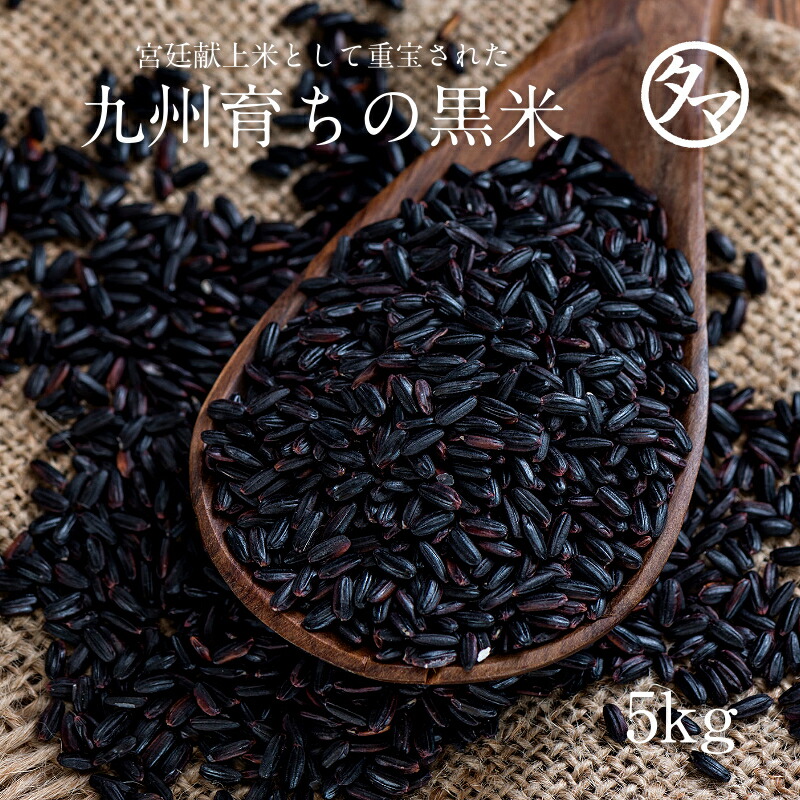 【送料無料】黒米(クロマイ) 5kg-九州産●<br>ご飯と一緒に炊けばもちもちピンク色の美味しいご飯に♪<br>●日本で初めての改良型紫黒米・朝紫種100％●<br>【国産 黒米/黒紫米/紫黒米】【楽ギフ_のし】【楽ギフ_メッセ】