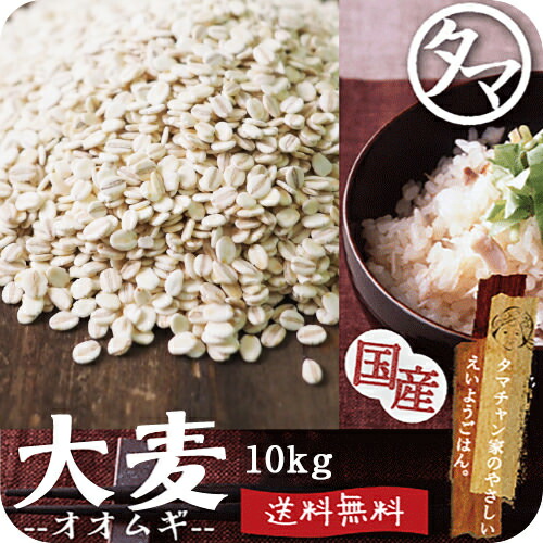 ＼話題の大麦／九州産 大麦(押し麦) 10kg（250g×40袋） 送料無料<br>食物繊維が豊富<br>βグルカン 水溶性食物繊維 カズレーザーと学ぶ テレビ TV 放送 水溶性食物繊維 新やせ菌  ブラウティア・ウェクセレラエオオムギ おおむぎ 胚芽押し麦 押麦