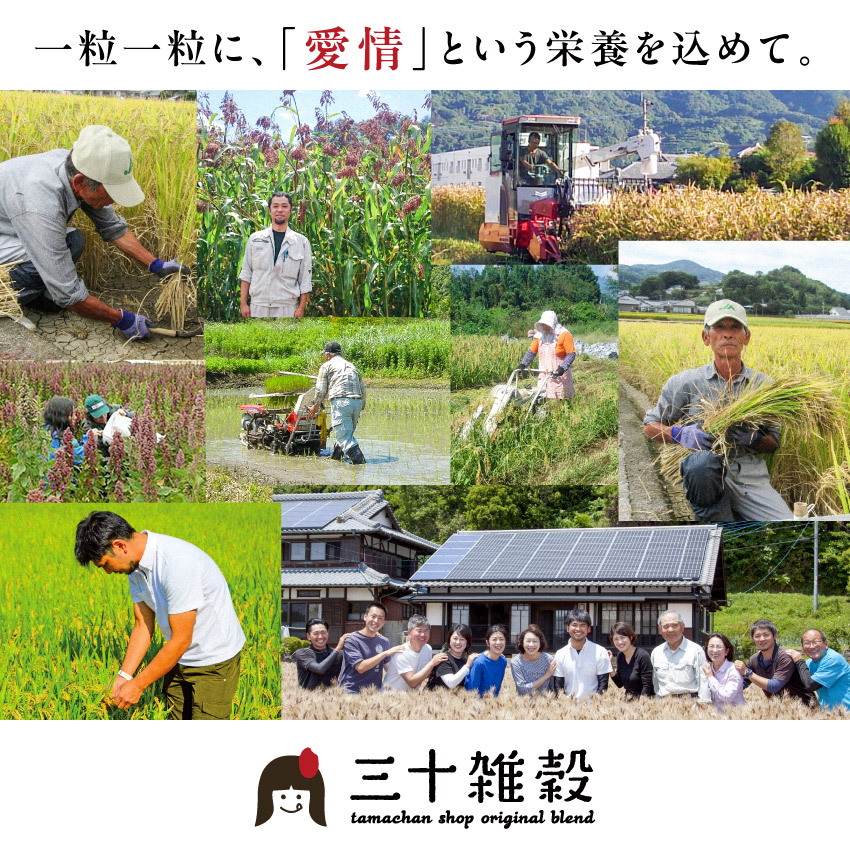 ＼レビュー82,000件突破／ 国産 雑穀米「三十雑穀」タマチャンショップの30雑穀米 1000円ポッキリ 送料無料 1日30品目の栄養を実現 もち麦 国産 大麦 丁寧な暮らし タマチャンショップ 酵素玄米 食物繊維 タンパク質 国産100%
