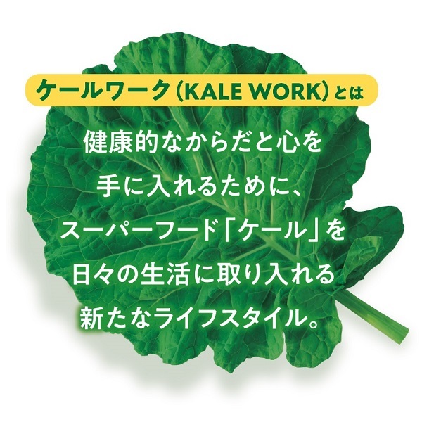 2021年最新海外 キューサイ 青汁 ザ ケール 420g入 粉末青汁 ４種類セット おまけ付き fucoa.cl