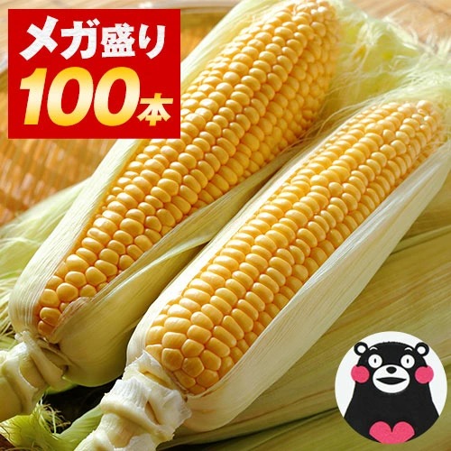 ＼超メガ盛り！／ とうもろこし 100本 大容量 すごあまこーん 卯野農場 スイートコーン 約30kg～約41kg 100本入り (3L~L サイズ) 朝採り 九州産 お取り寄せ グルメ 送料無料 業務用 《7-14営業日以内に発送予定(土日祝除く)》｜九州風土　店