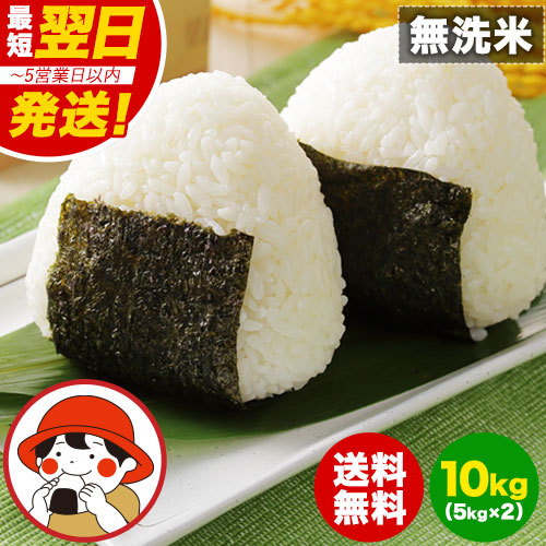 国産 ふるさと 無洗米 10kg送料無料 精米 国産ふるさと無洗米 非常食 保存食 こめ コメ kome お買い物マラソン 《配送予定に記載の日程でお届け》