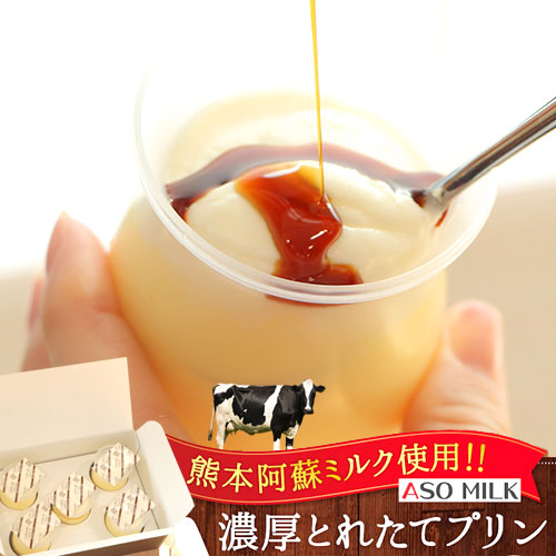 楽天市場 冷凍みかん プリン 熊本 国産 熊本とれたて濃厚プリン しらぬい クリームチーズ 阿蘇ミルク 3個 不知火 2個 合計5個入 冷凍プリン 送料無料 お取り寄せ デザート スイーツ 九州ふるさと便 賞味期限 22年1月18日 九州ふるさと便