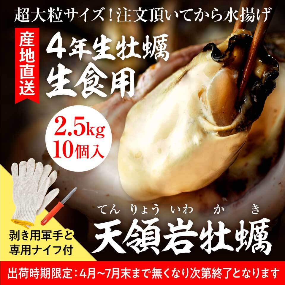 牡蠣 市販は此節だけ 心髄5倍加 2 5kg 生牡蠣 ストーン牡蠣 熊本県分娩 厳親の一日 お中元 天領岩牡蠣 生食用件 大粒250g以上 10個第一歩 2 5kg 牡蠣 柿 熊本県産 天草 苓北 出生地直送 送料無料 九州ふるさと便益 Daemlu Cl