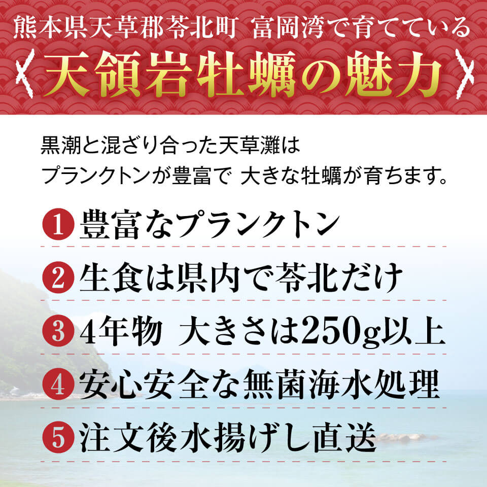 牡蠣 市販は此節だけ 心髄5倍加 2 5kg 生牡蠣 ストーン牡蠣 熊本県分娩 厳親の一日 お中元 天領岩牡蠣 生食用件 大粒250g以上 10個第一歩 2 5kg 牡蠣 柿 熊本県産 天草 苓北 出生地直送 送料無料 九州ふるさと便益 Daemlu Cl