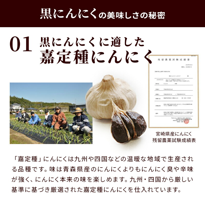 楽天市場 九州ごちそう便 特製 黒にんにく 1ヵ月分 31粒 送料無料 国産 熟成 にんにく 黒ニンニク 黒にんにく 嘉定種 かくていしゅ 九州 九州のごちそう便 九州のごちそう便