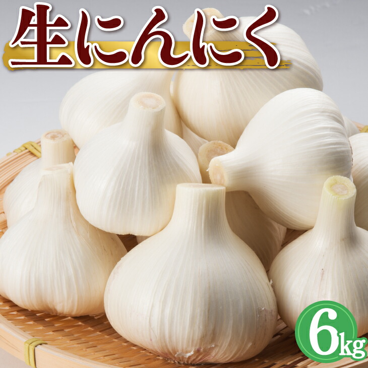 【予約販売】【5月中旬順次発送】 生にんにく 6kg（SS‐Lサイズ） 国産 にんにく 福岡 【送料無料】