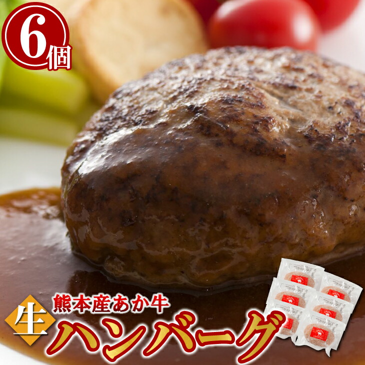あか牛 生ハンバーグ 6個入 ギフト あか牛 生 とろける 溶ける 国産 和牛 熊本産 冷凍 ギフト 贈り物 お歳暮 赤牛