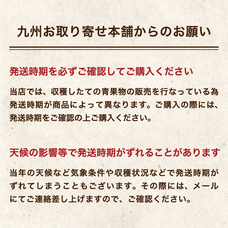 のし対応 箱付 お中元 ギフト用 佐賀 暑中見舞い 梨 温室栽培 熨斗 直送 箱入り 贈答用 農家 送料無料 人気商品 送料無料