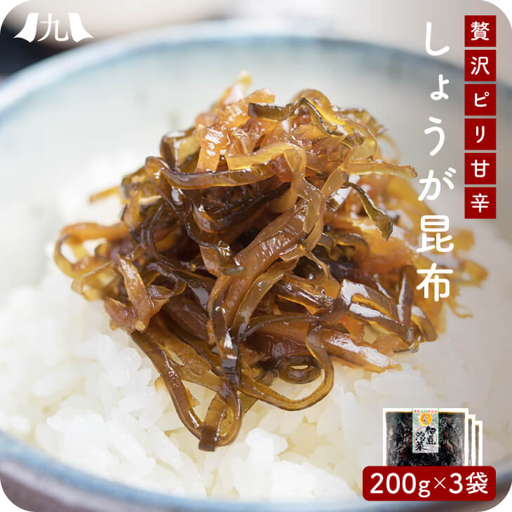 楽天市場 産地直送 生姜昆布 500g 2個セット 九州お取り寄せ おつまみ おかず 佃煮 生姜 昆布 おにぎり 惣菜 漬物 お弁当 送料無料 九州 お取り寄せ本舗 楽天市場 産地直送 生姜昆布 500g 2個セット 九州お取り寄せ おつまみ おかず 佃煮 生姜 昆布 おにぎり 惣菜 漬物 お弁当 送料無料 九州 お取り寄せ本舗