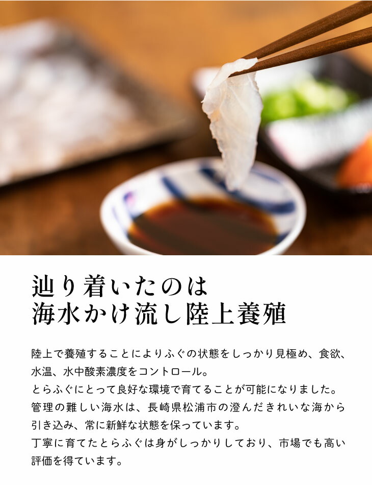 お見舞い 産地直送 九州 お取り寄せ ギフト 手土産 国産 ふぐ とらふぐ てっさ 冷凍 送料無料 qdtek.vn